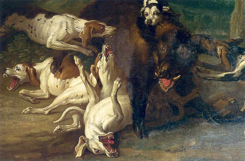 Hunting wild Boar